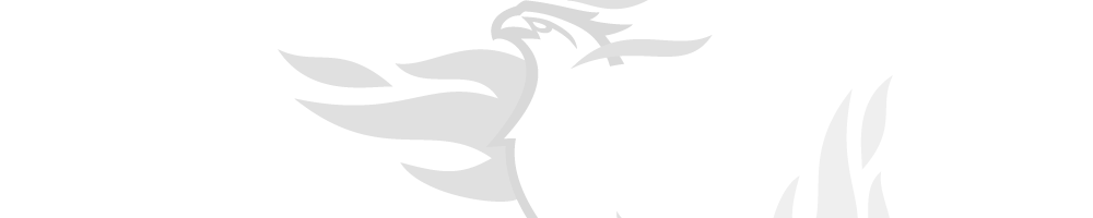firebird school logo