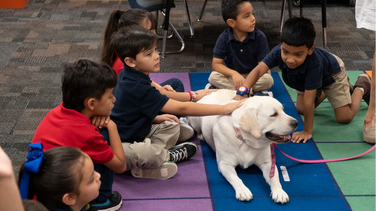 students sitting on floor petting a dog