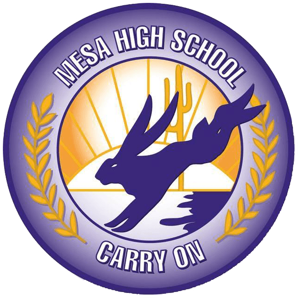 Programs Activities Clubs Mesa High School