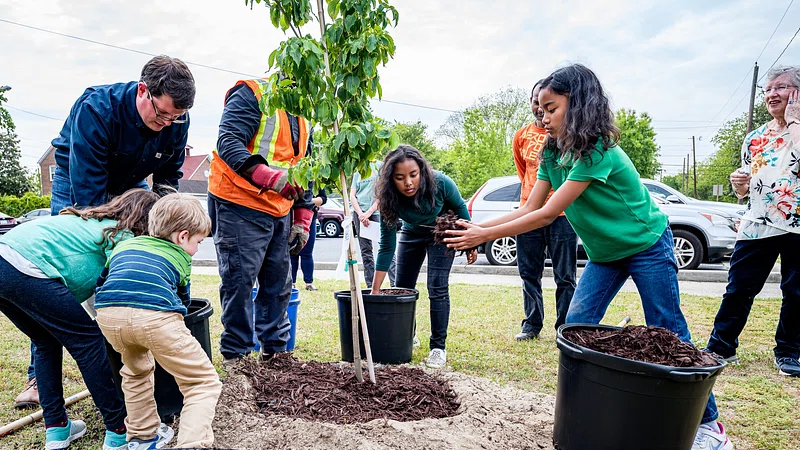 five students, three adults planting a tree