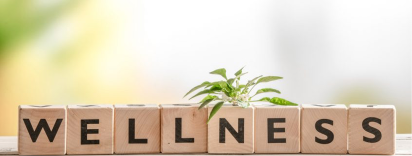 wellness picture