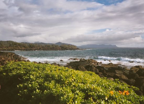 Ocean picture