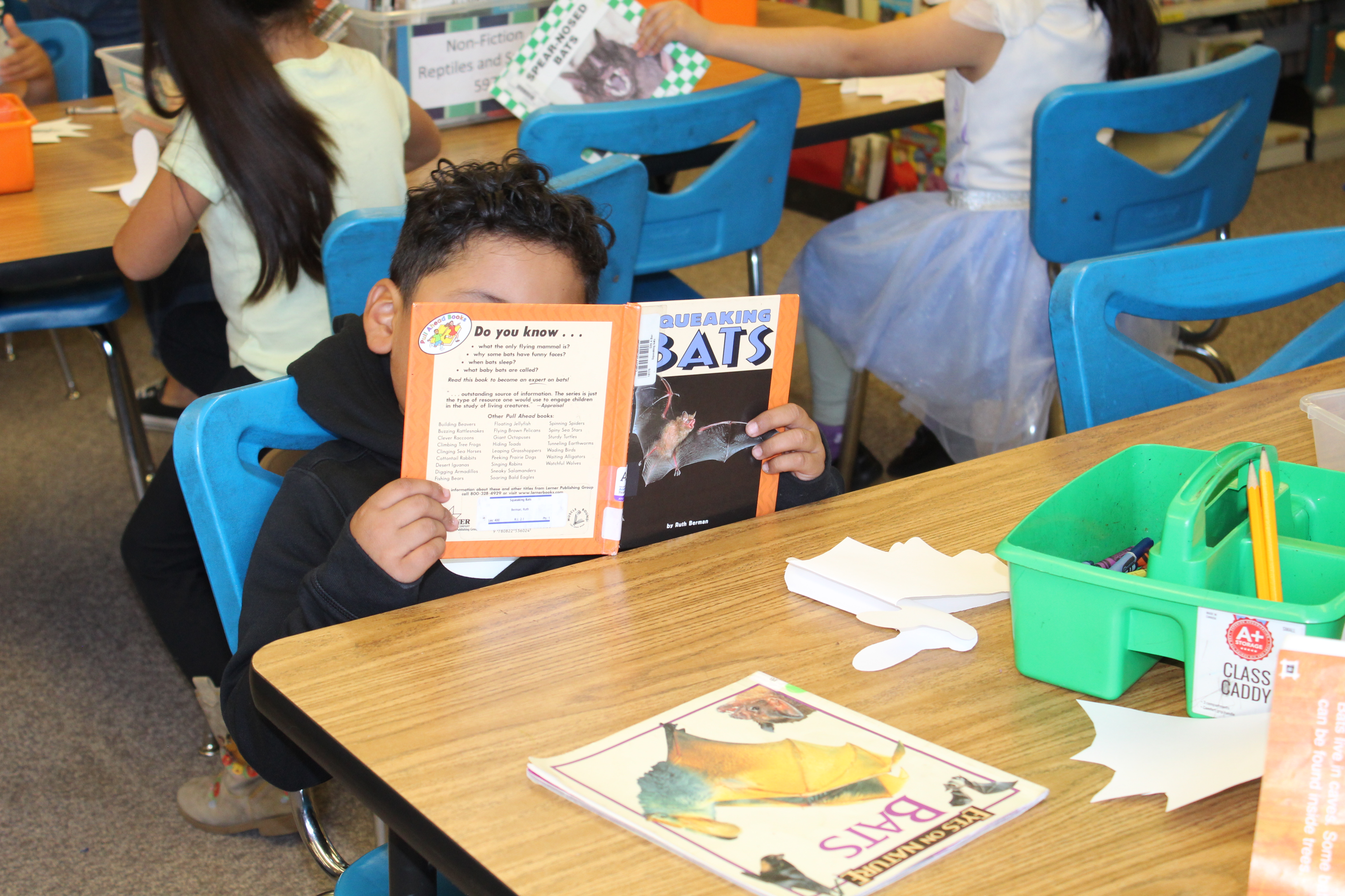 Student reading