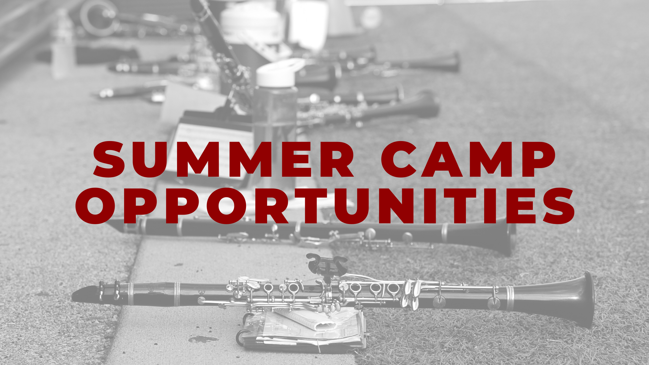 summer camp opportunities