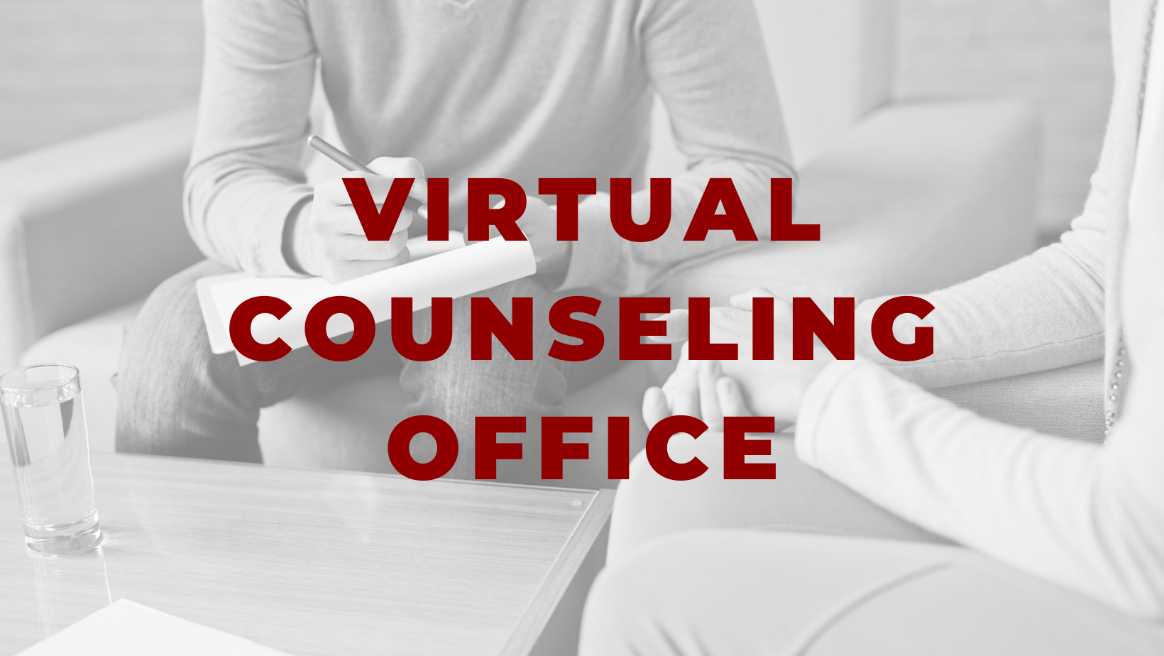 virtual counseling office