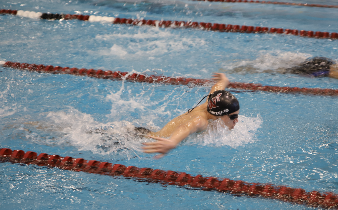 https://www.windsorct.org/o/athletics/page/swimming