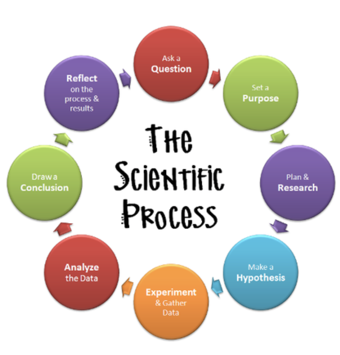 Science Process