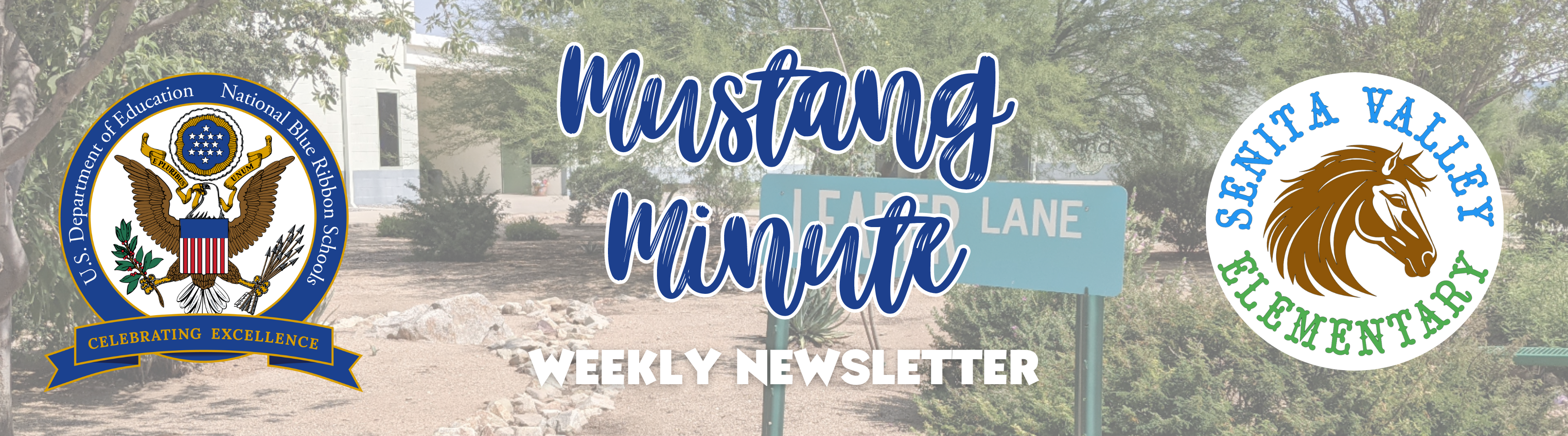 Newsletter header