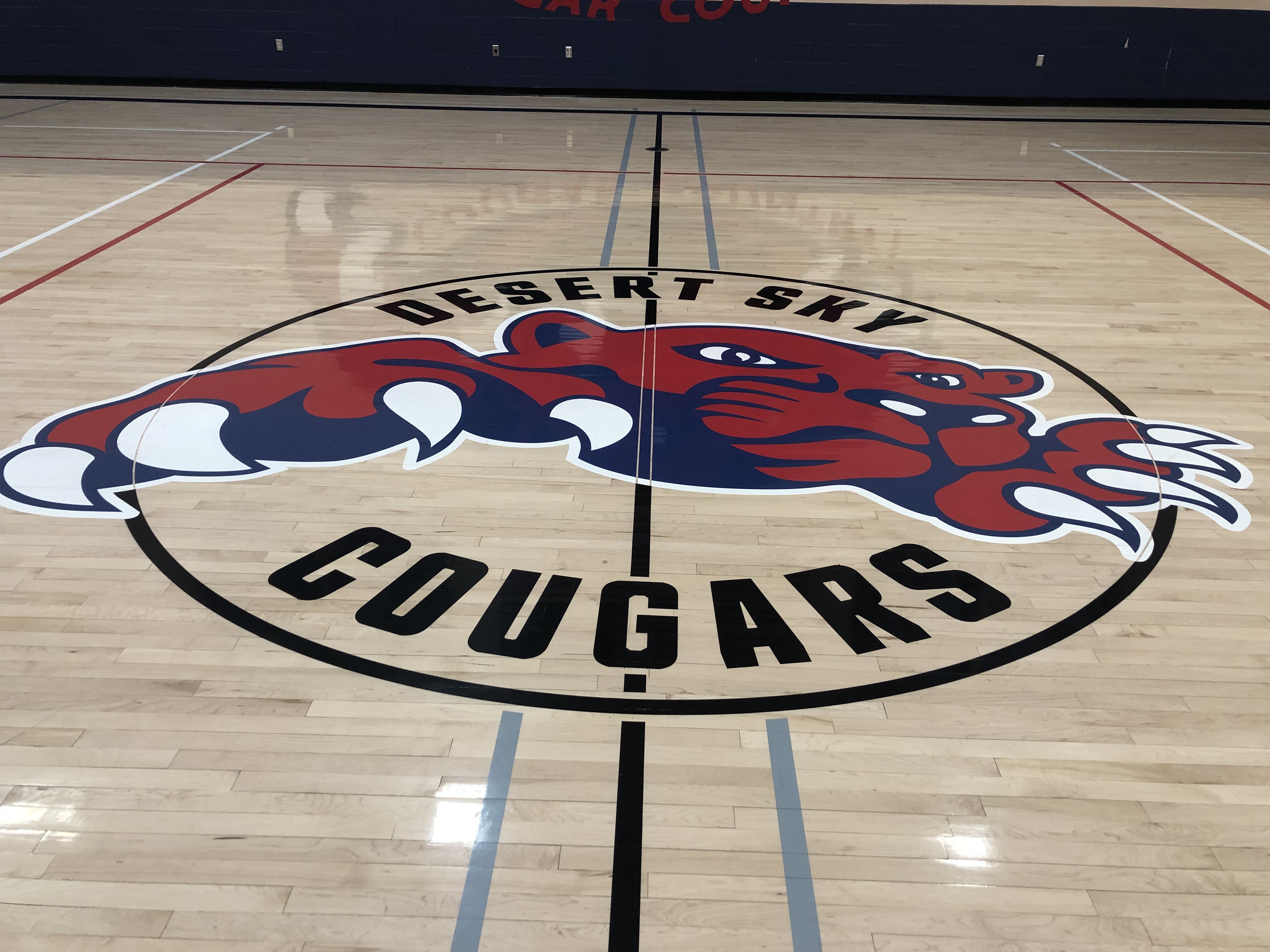 cougar floor image