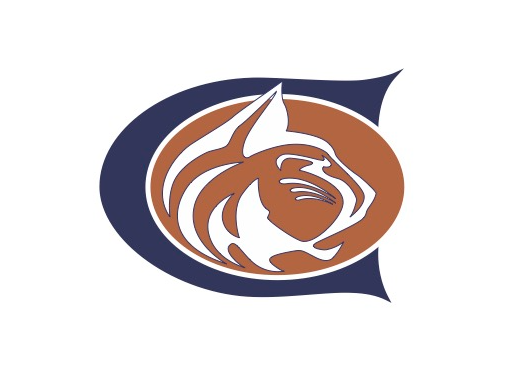 chs logo