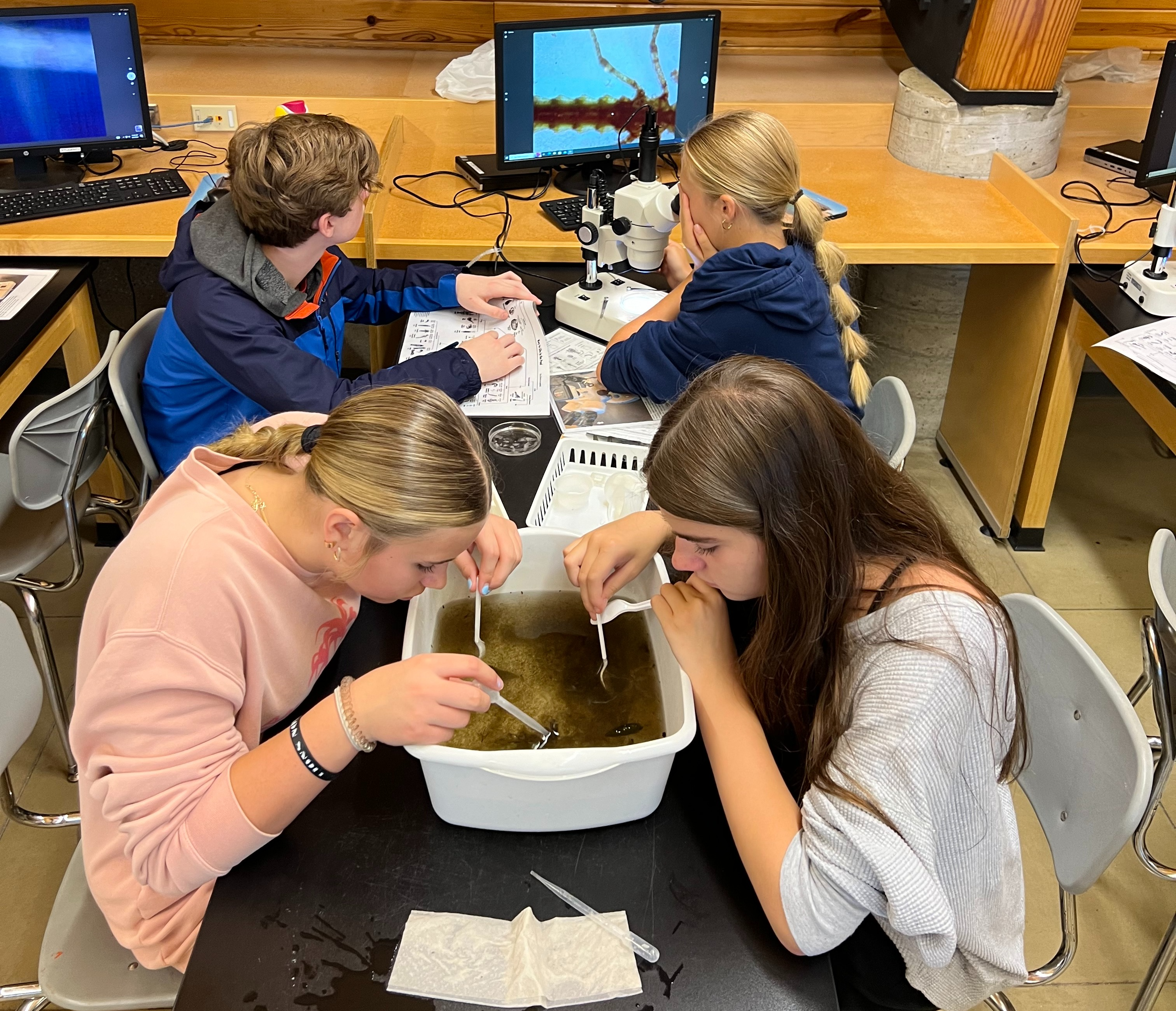 girls look through water for specimens