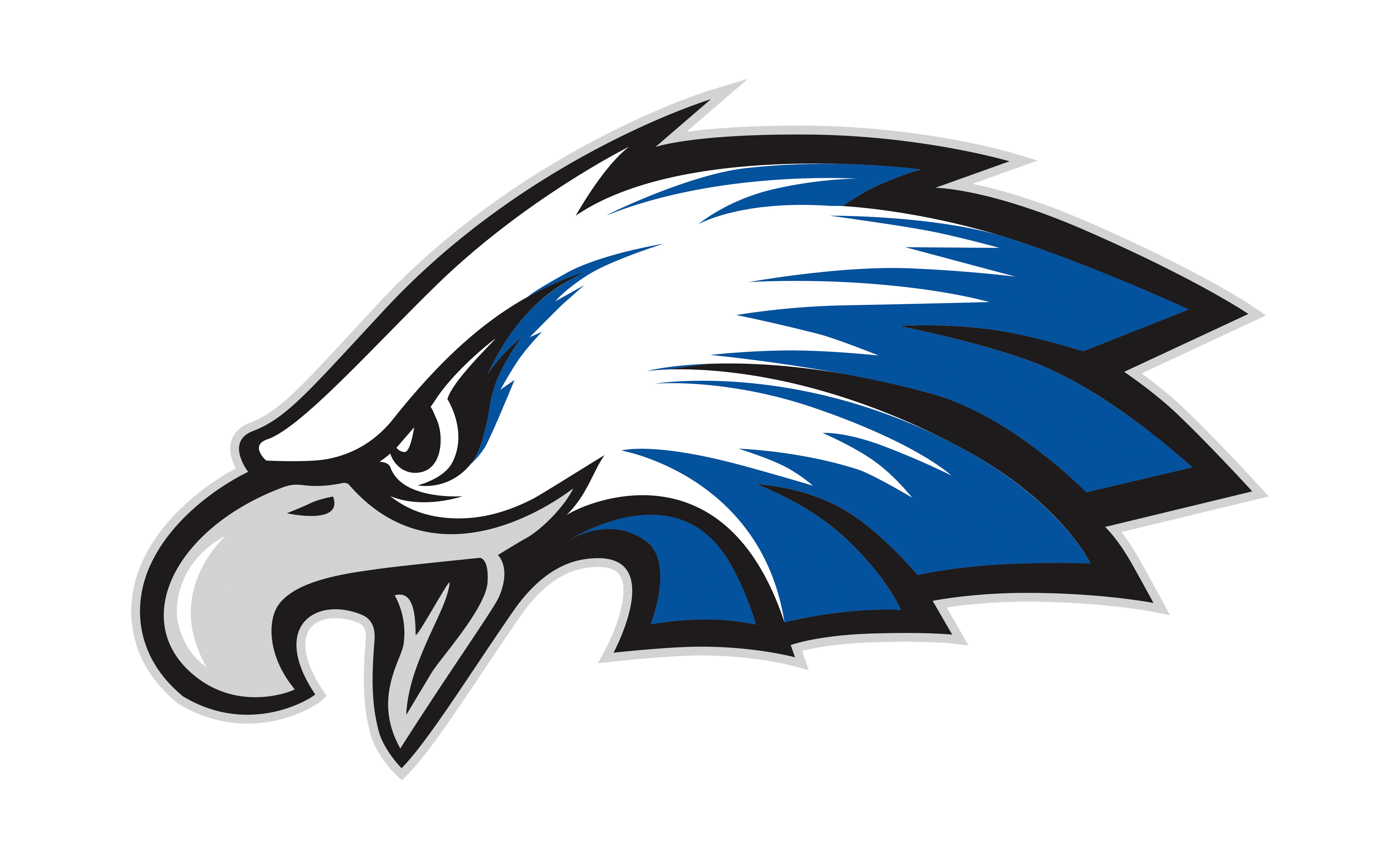 Lakeland high school eagle logo