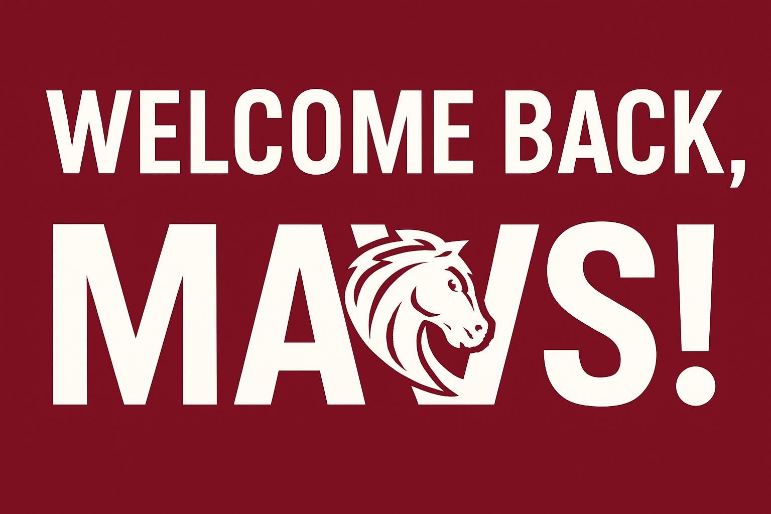 Welcome back, Mavs!