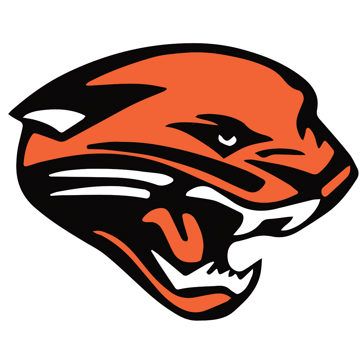 school panther logo