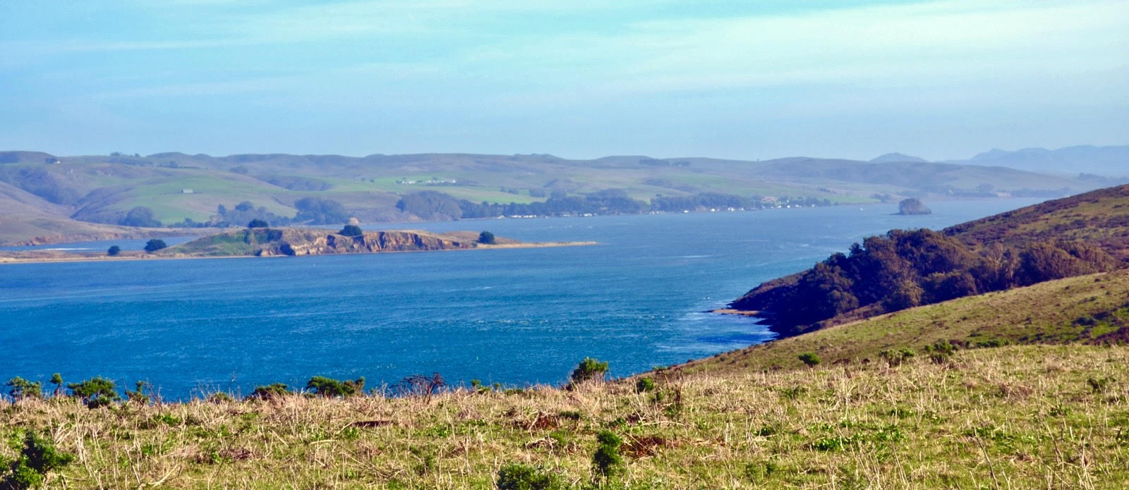 View from Tomales Point Trail Oleg Alexandrov - Own work