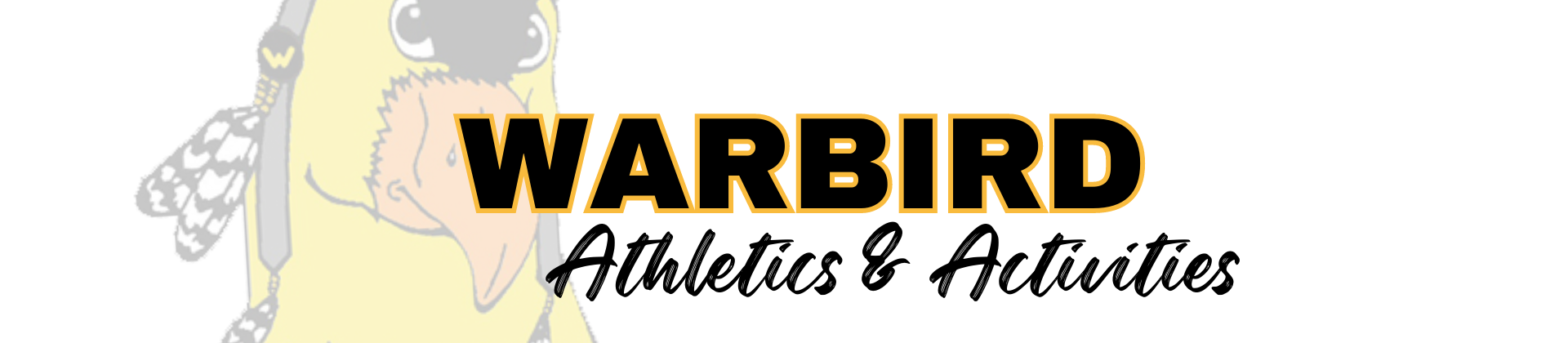 Warbird athletics and activities