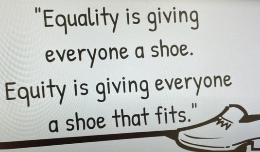 Equity shoe