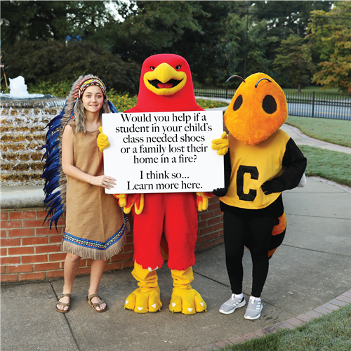 Mascots with Purposity