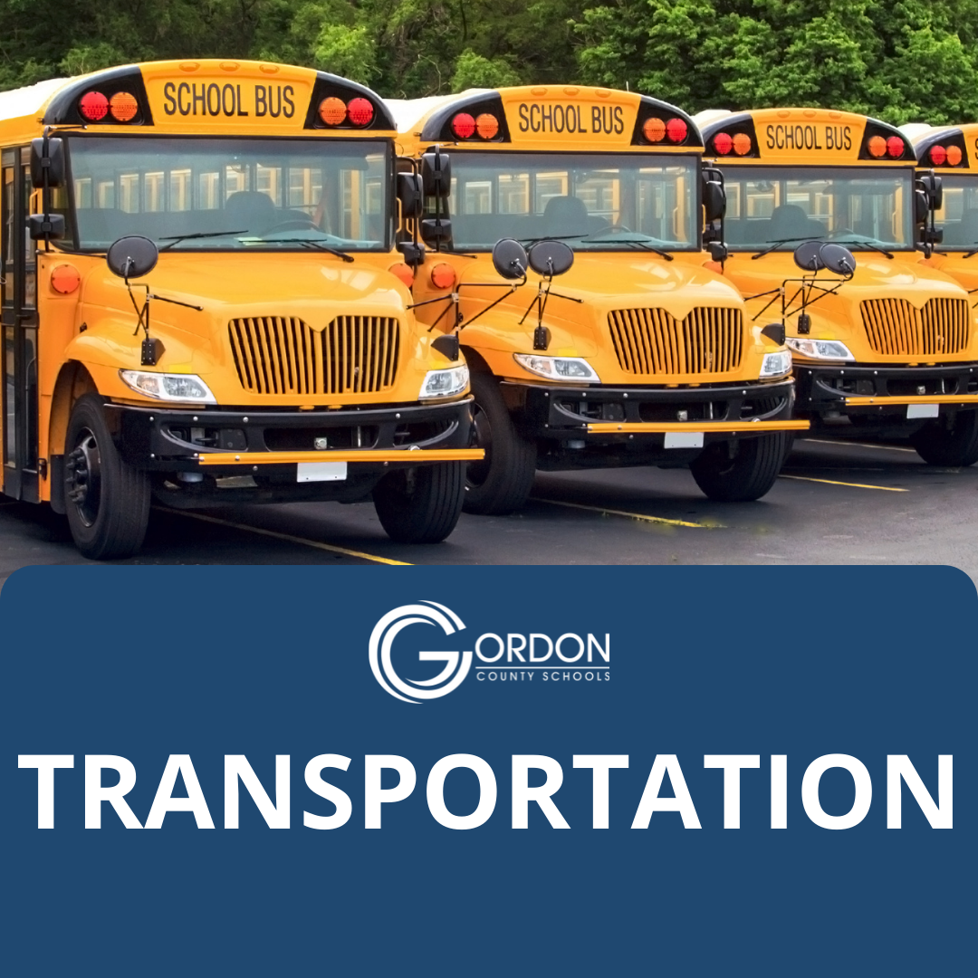 Transportation Button: A Picture of School Buses