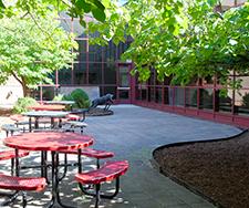 Outdoor lunch area at NCHS