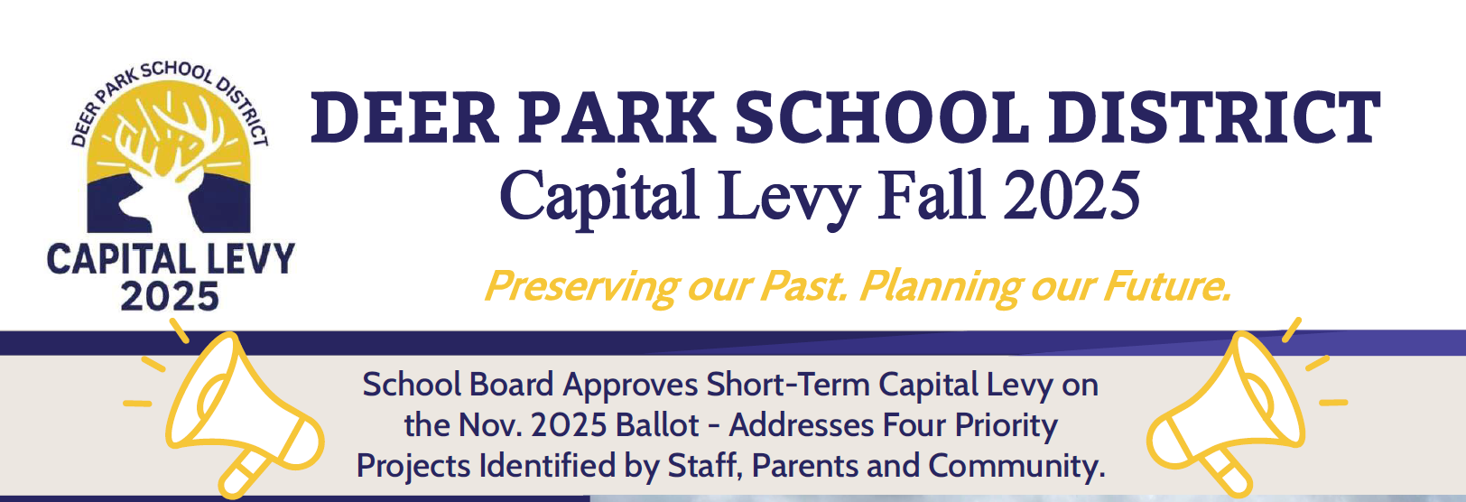 Capital Levy 2025