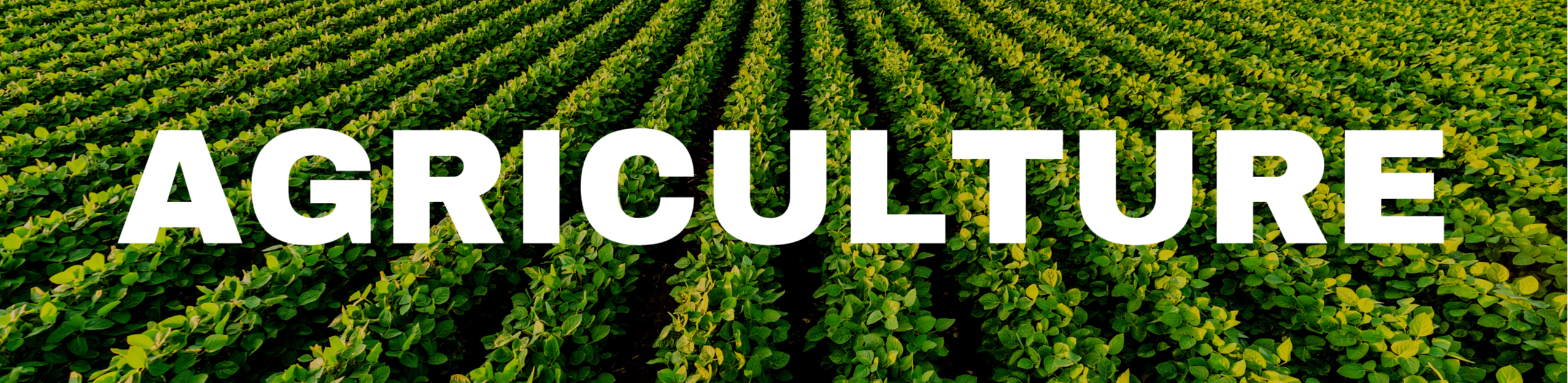 AGRICULTURE