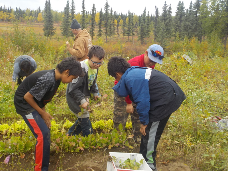photo of students collecting plants outside