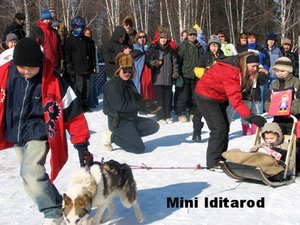 photo of people around a dog sled