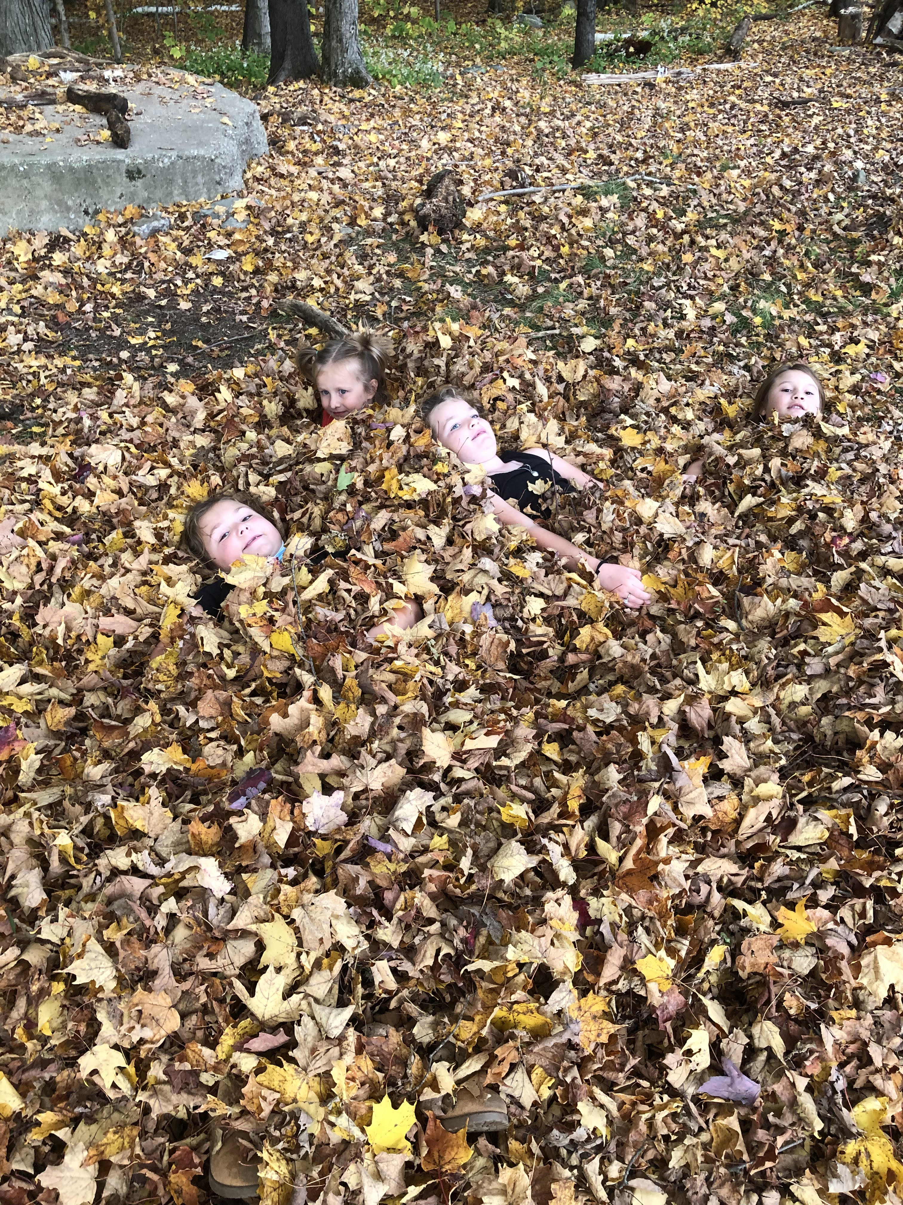Children in leaves