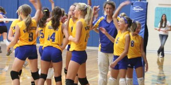 Volleyball team cheering on the court