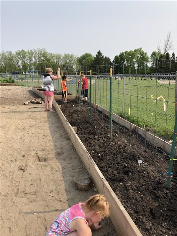 School Garden photo