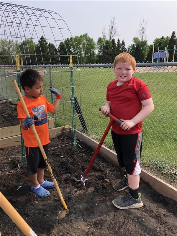 School Garden photo