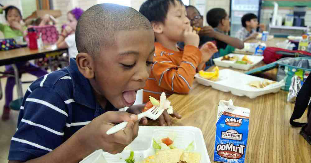 Free and Reduced Meals