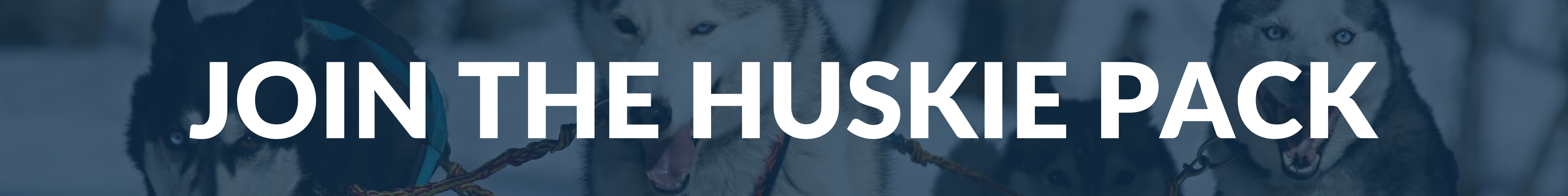 huskie banner