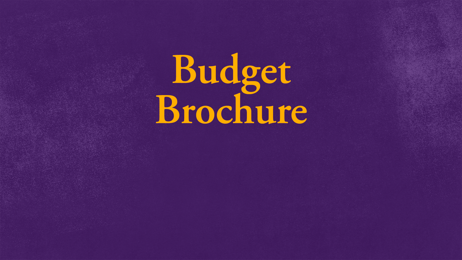 budget brochure graphic