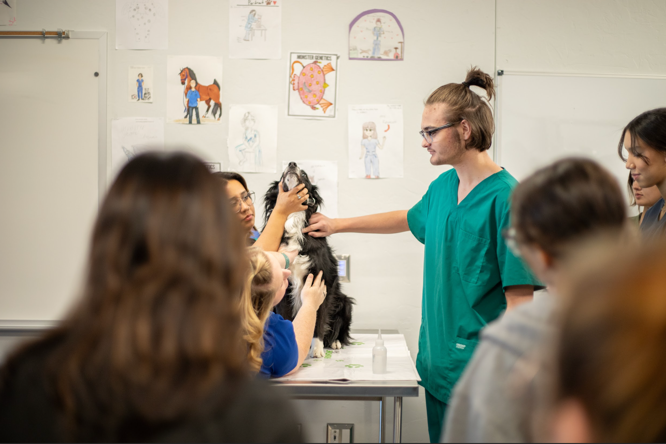 CTE Veterinary Students