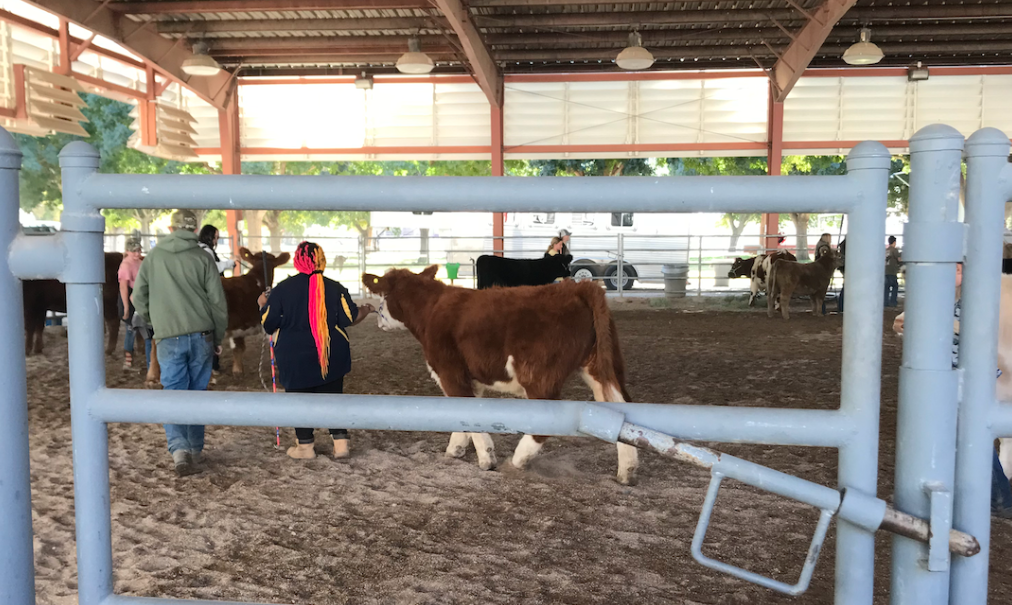 CTE student at an FFA Event