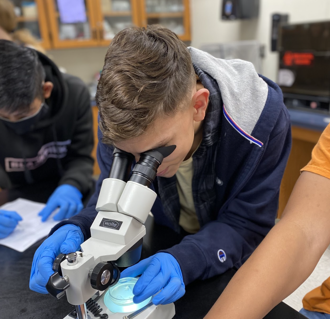 CTE student looking through a microscope