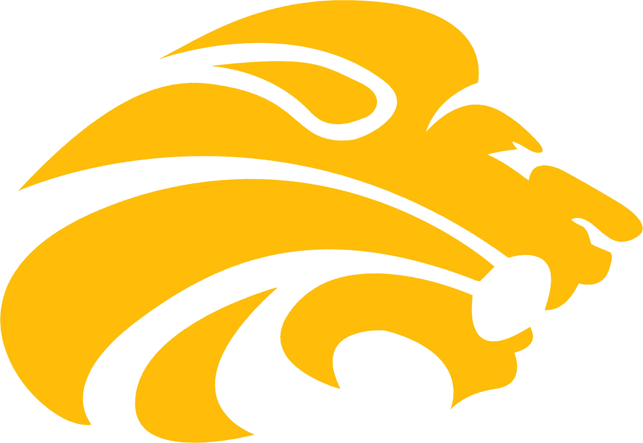 VCA Lion Logo