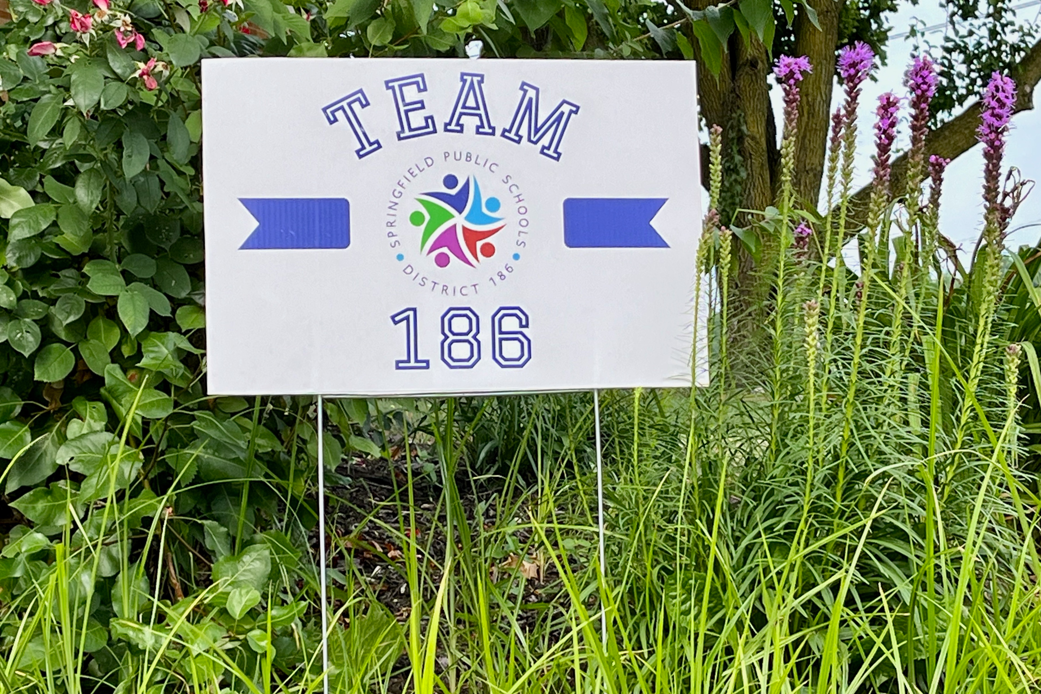 Team 186 Yard Sign