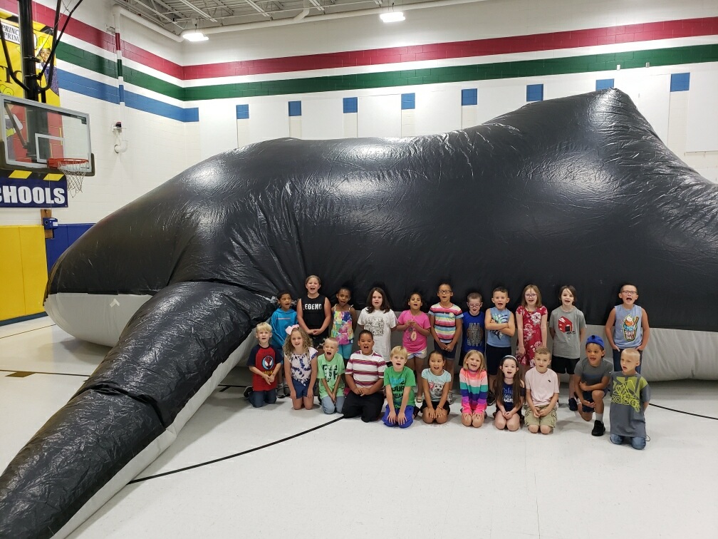 Great Whale at PPS