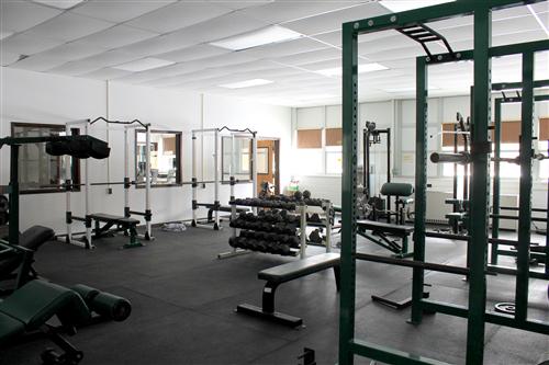 Free Weights