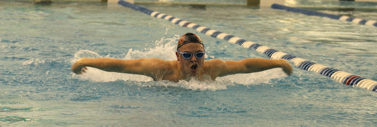 swimmer racing in the pool