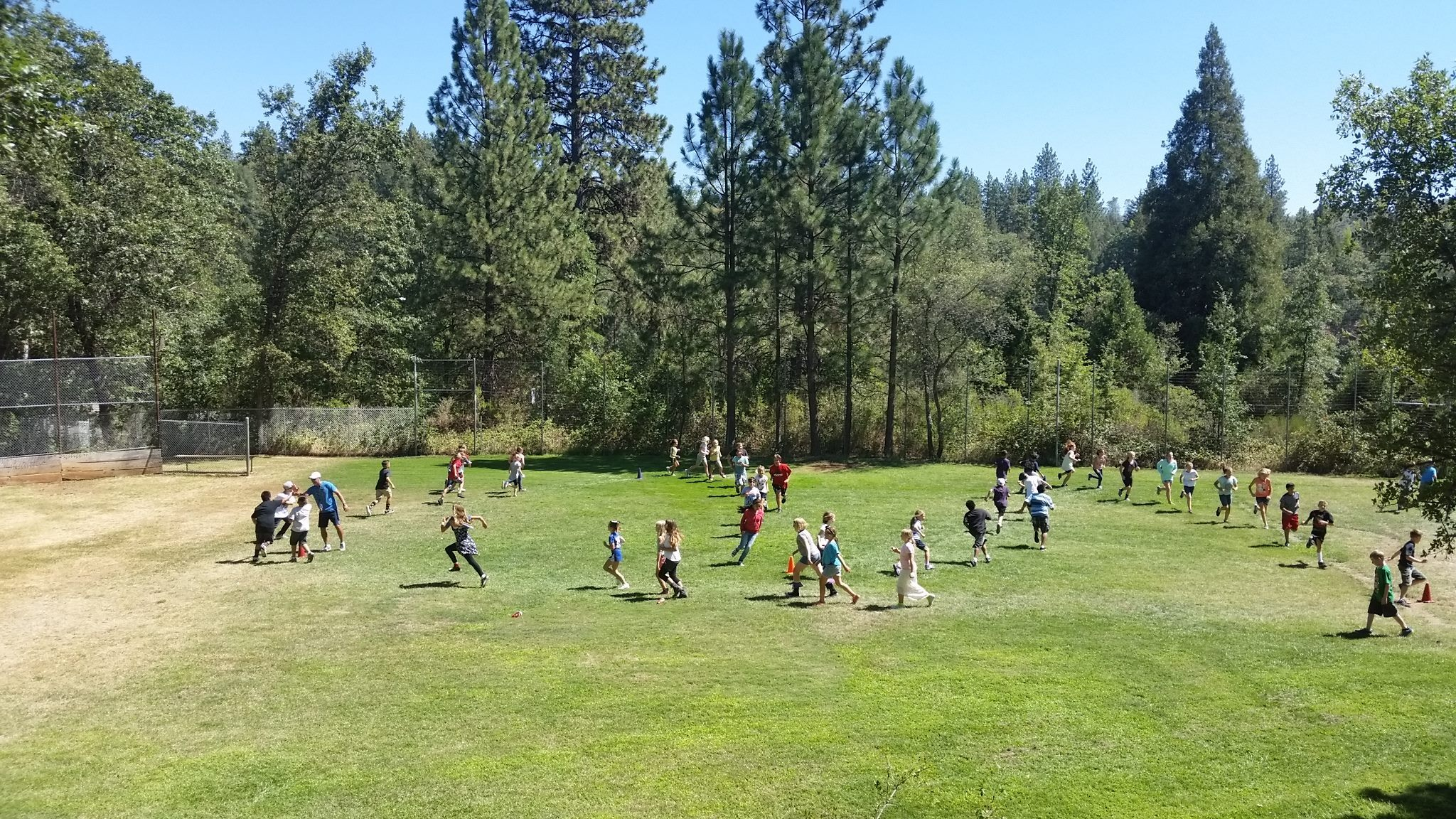 A diverse group of children in a sunny, open field surrounded by greenery