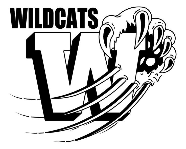 Wildcat clawing a W