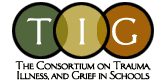 TIG logo