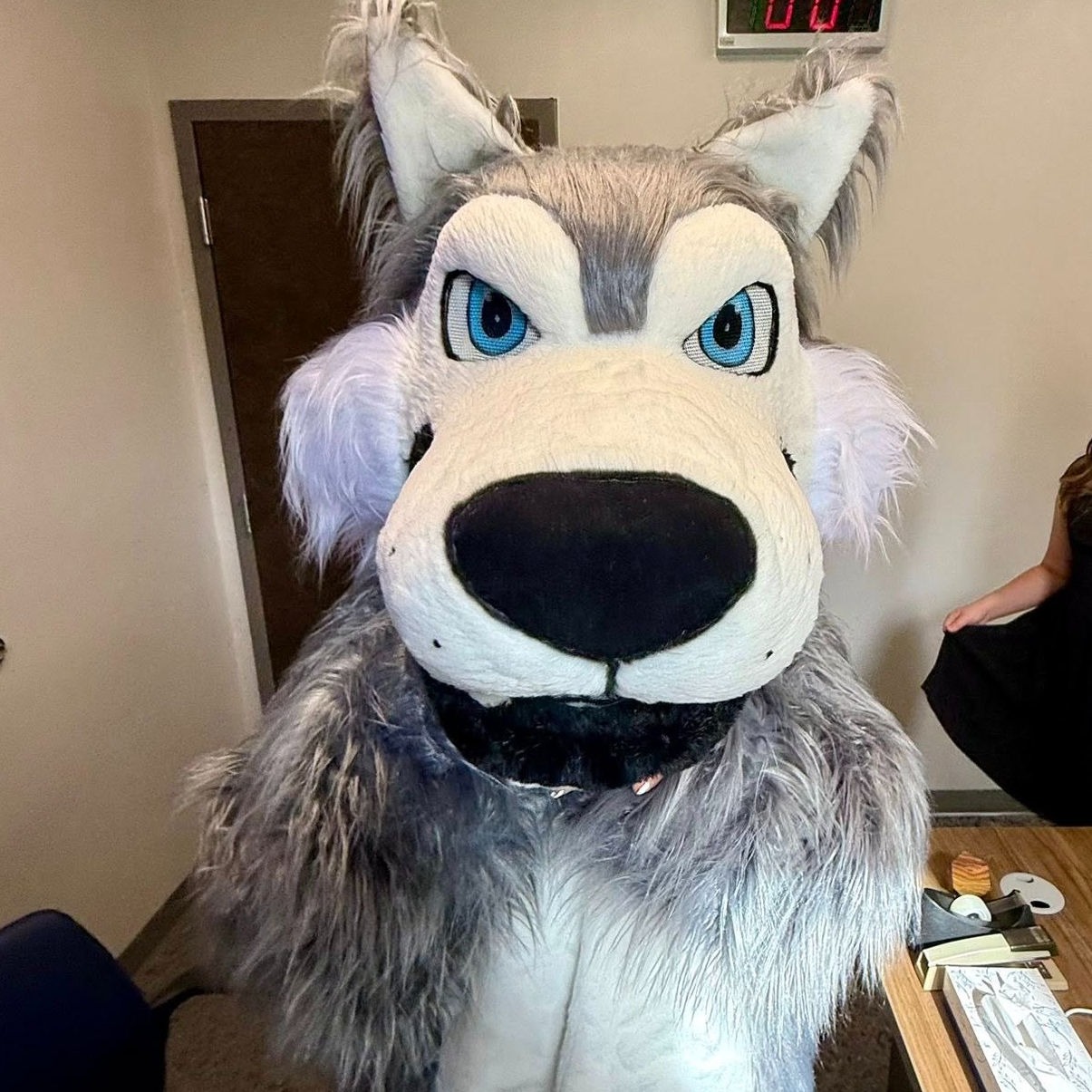 Timberwood Wolf