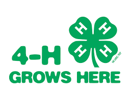 4H