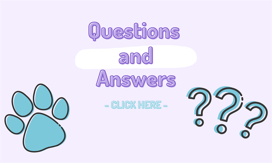 Questions and Answers - click here
