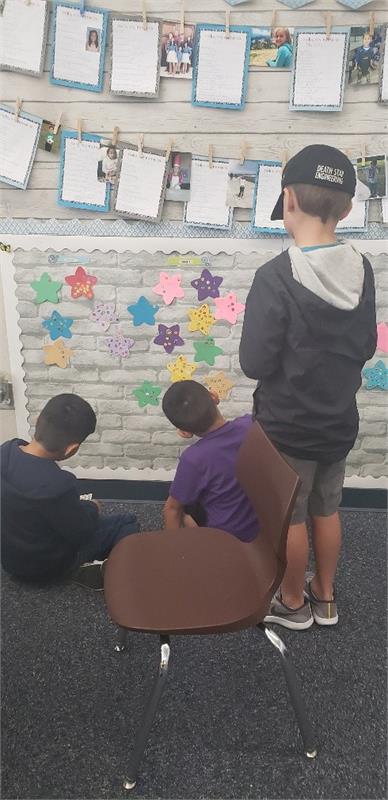 Student Projects and Activities 